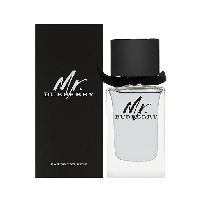 Burberry Mr. Burberry EDT 100 ML (H)