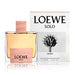 Loewe Loewe Solo Cedro EDT 100 ML (H)