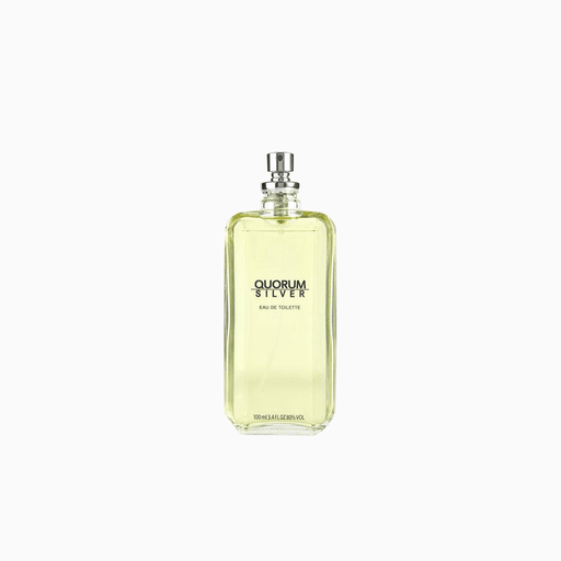 Puig Puig Quorum Silver EDT 100 ML Tester (H)